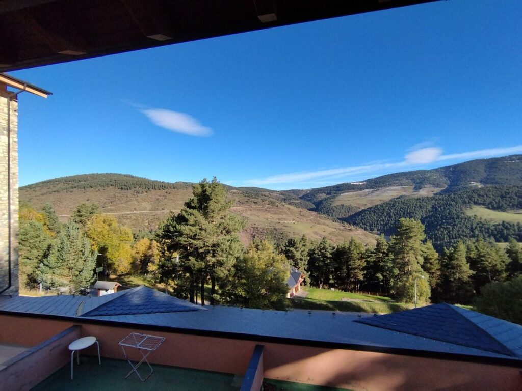 IMG-20241112-WA0034